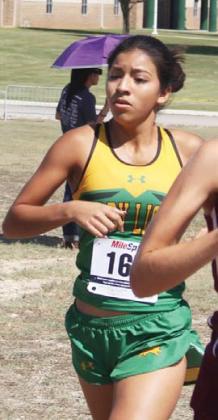 DHS runner headed to Regionals