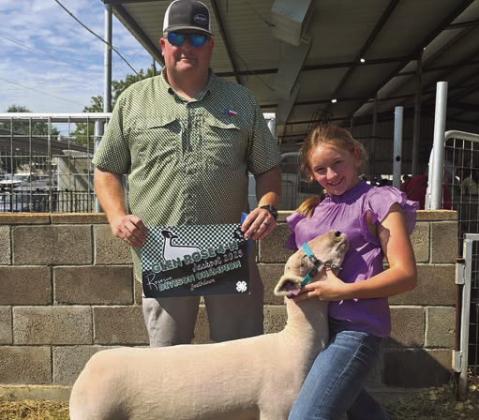 Dublin FFA member Shiloh Ramsay had a great showing at the Glen Rose 4H jackpot, exhibiting the Reserve Champion Southdown and a Medium Wool sheep that was 4th in his class.