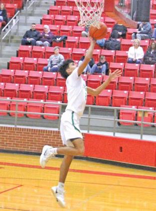 Lions end season in bidistrict playoffs