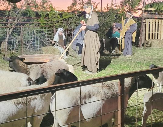 More scenes from the Lingleville Baptist Nativity