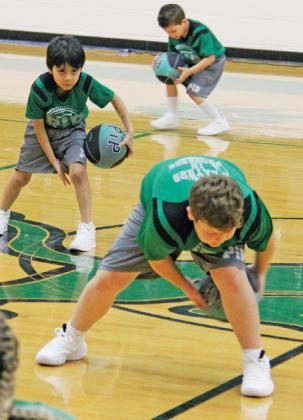 Dublin kids got a chance to show their skills during half-time at the Tuesday, Dec. 19 Dublin Lion varsity game as Players in Progress (PiP) participants performed a routine for the captivated parents and Lions fans. Paul Gaudette | Citizen staff photo