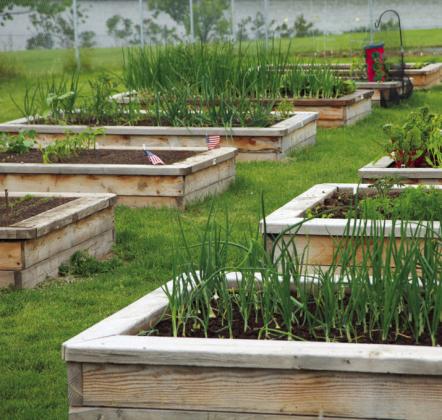 Dublin Garden Club learns Revolution Garden Method