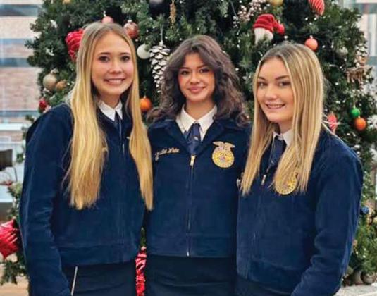 Dublin FFA seniors