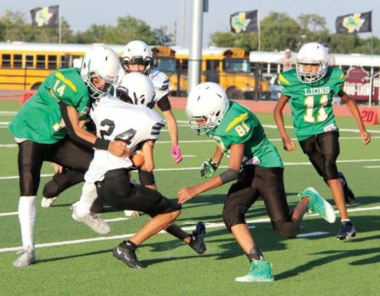 JH Lions conquer in Brady beatdowns