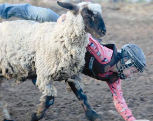 Crowds hoof it to annual rodeo