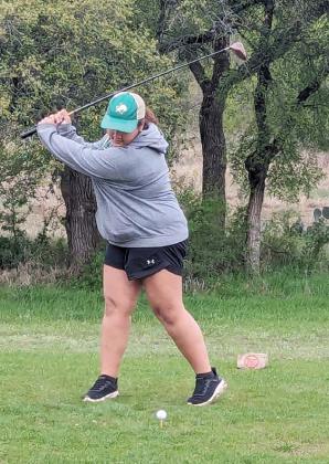 DHS golfers swing into district play