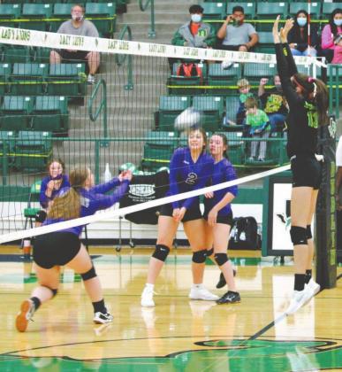 JV Lady Lion