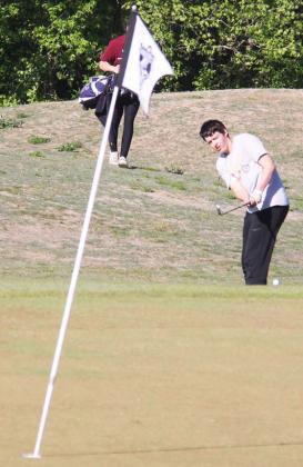 Dublin High School golfers