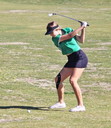 Dublin High School golfers
