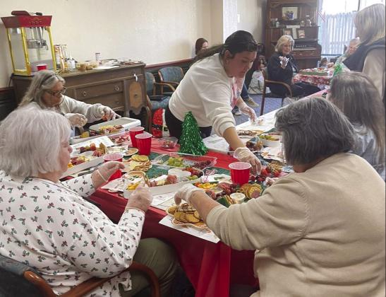 The Dublin Senior Citizens Group