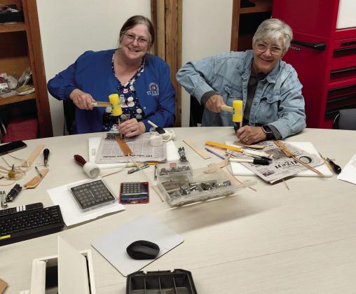 The Dublin Senior Citizens Group