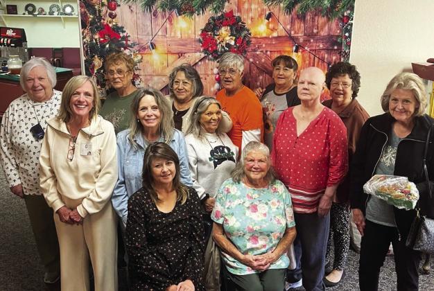 The Dublin Senior Citizens Group
