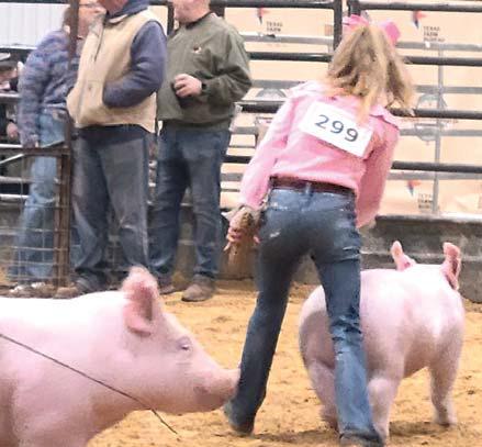 Reesleigh Wilson, seen showing two of her projects, won Grand Champion of the swine show with her yorkshire entry.