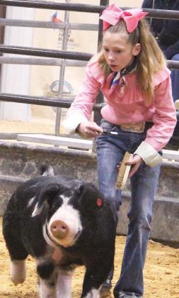 Reesleigh Wilson, seen showing two of her projects, won Grand Champion of the swine show with her yorkshire entry.