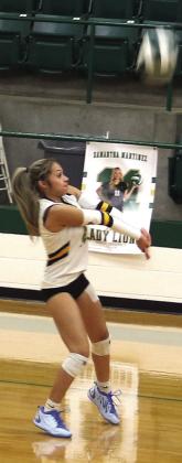 Dublin Lady Lions