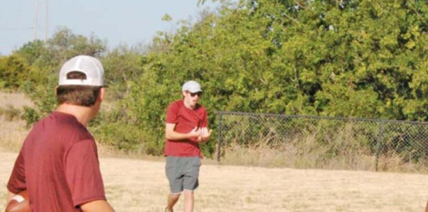 Cards Flock to Fields