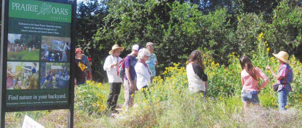 Nature Fest brings learning, fun