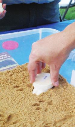 Nature Fest brings learning, fun