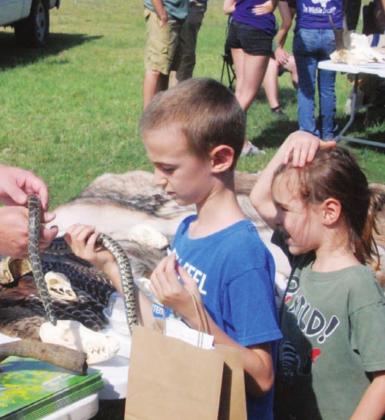 Nature Fest brings learning, fun