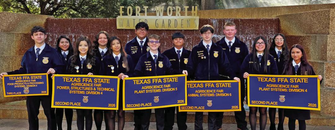 Dublin FFA medals