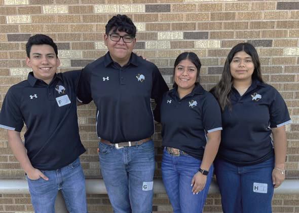 The Dublin FFA Entomology