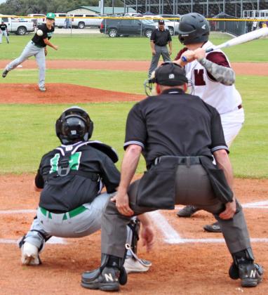 Dublin Lions baseball team end short season