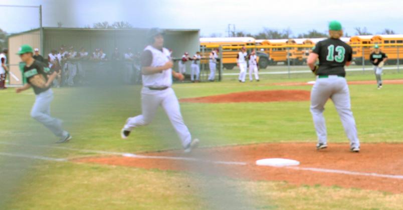 Dublin Lions baseball team end short season