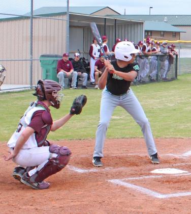 Dublin Lions baseball team end short season