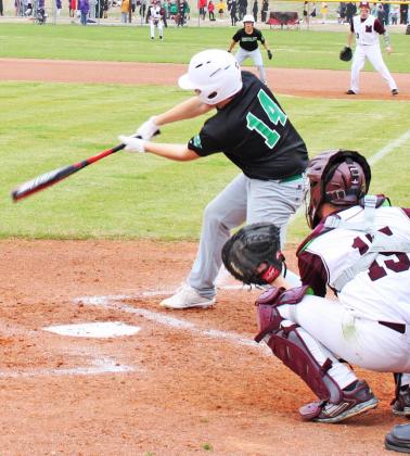 Dublin Lions baseball team end short season