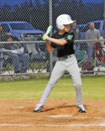 Dublin Lions baseball team end short season