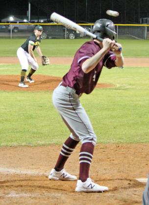 Dublin Lions baseball team end short season