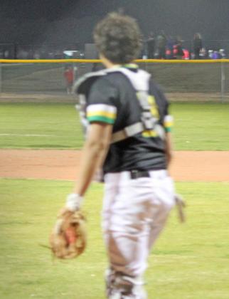 Dublin Lions baseball team end short season
