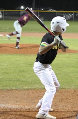Dublin Lions baseball team end short season