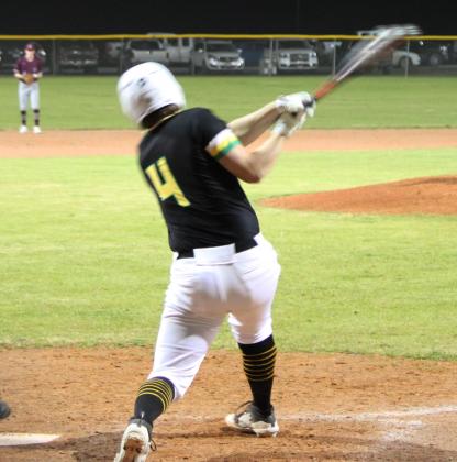 Dublin Lions baseball team end short season