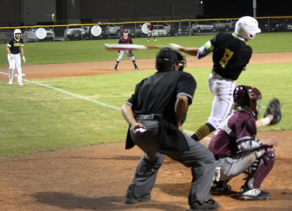 Dublin Lions baseball team end short season