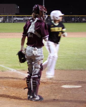 Dublin Lions baseball team end short season