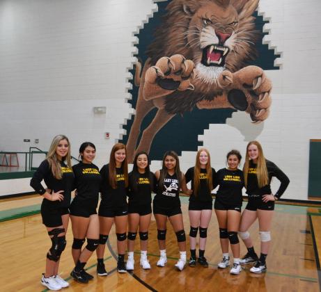Dublin JV Lady Lions