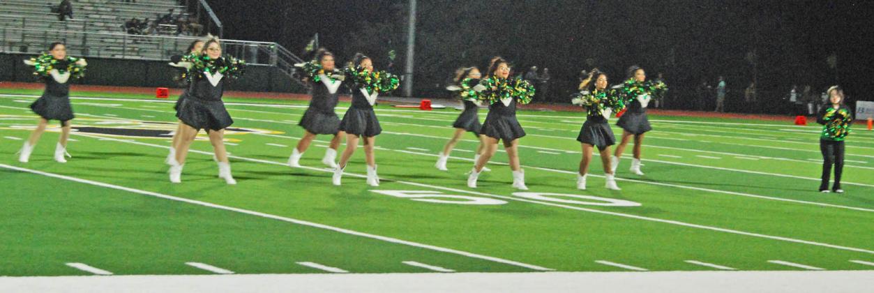 Dublin Dandi-Lions perform at halftime