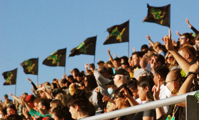 Lion spirit in the stands