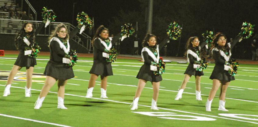 Dublin Dandi-Lions perform at halftime