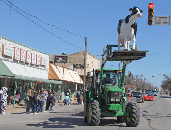 St. Pat's Parade