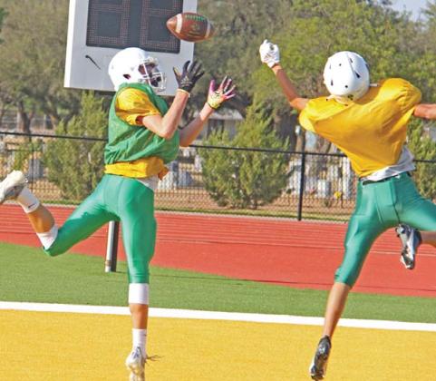 Lions leap into action