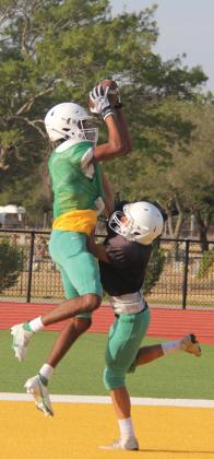 Lions leap into action