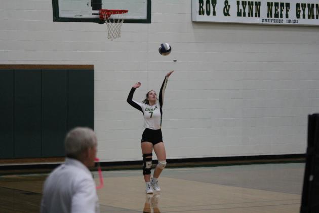 Lady lion serve