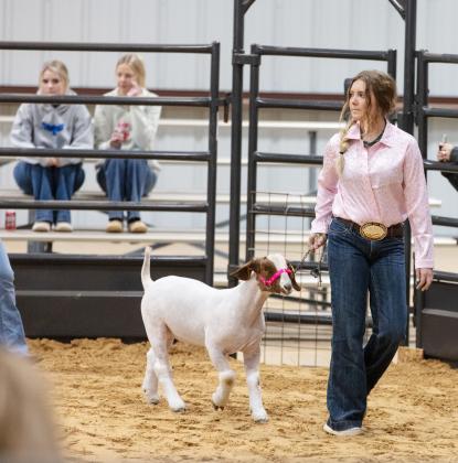 Photo by Danielle Meador/show 2