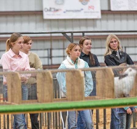 Photo by Danielle Meador/rabbit show 1