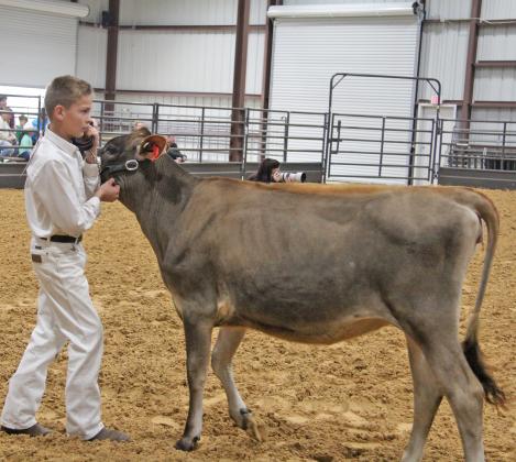 ECLA Dairy Show 1