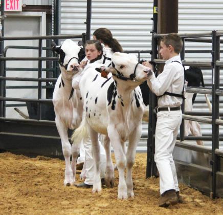 ECLA Dairy Show 2
