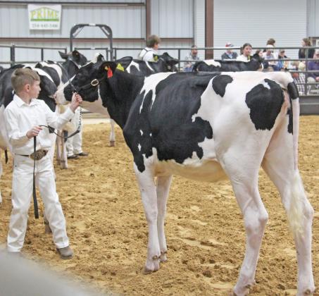 ECLA Dairy Show 3