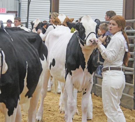 ECLA Dairy Show 4